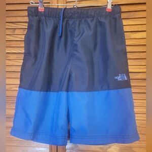 The North Face Men's Shorts Blue Size‎ Small